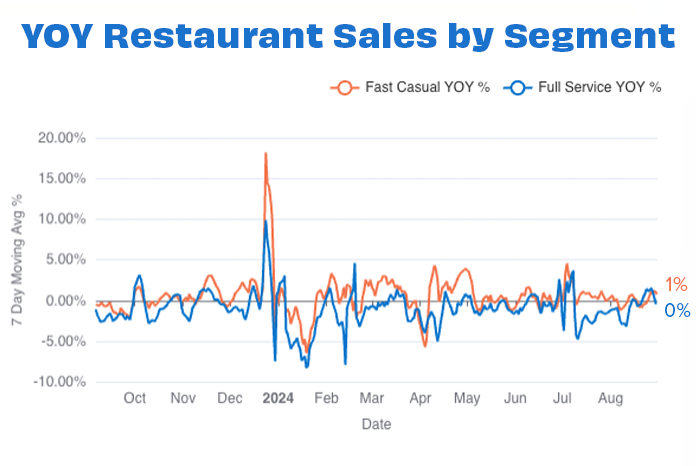 Overall sales by segment AUG 24