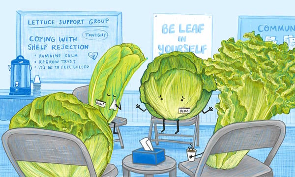 TheBoard-July2026-email-Lettuce