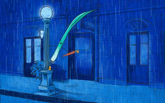 TheBoard-Jan2026-email