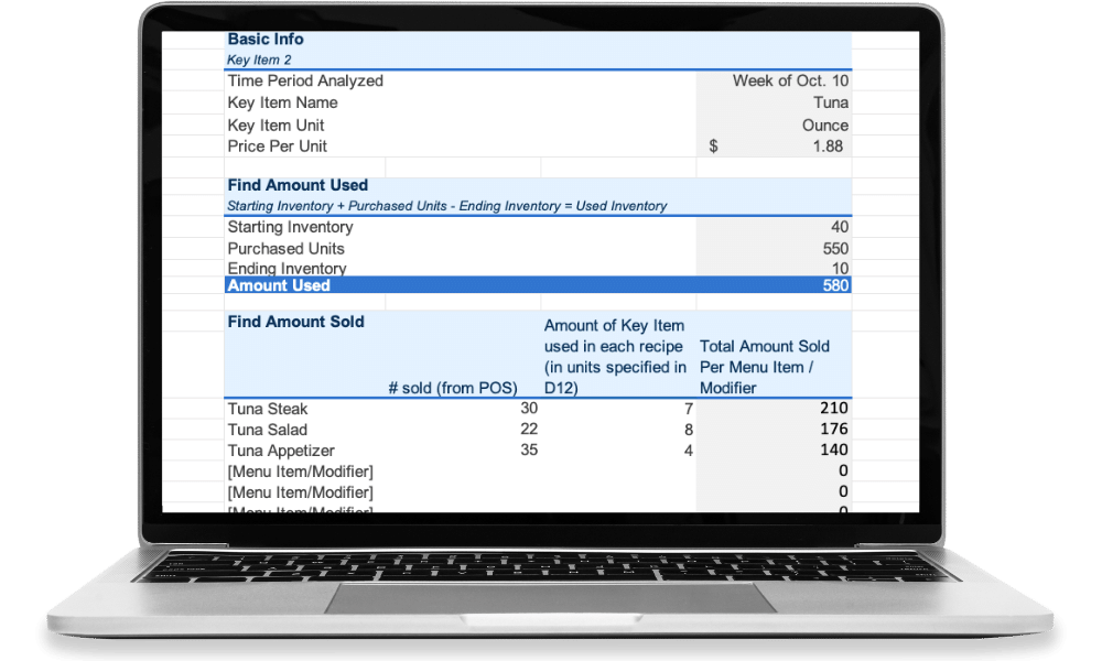 Theoretical Usage Calculator on laptop(2)