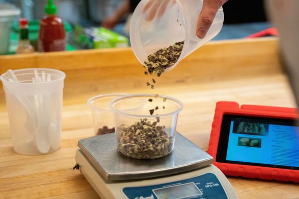 DSC00626-600x400-bf06395